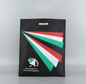 Custom Environmental Friendly Non-woven Bag