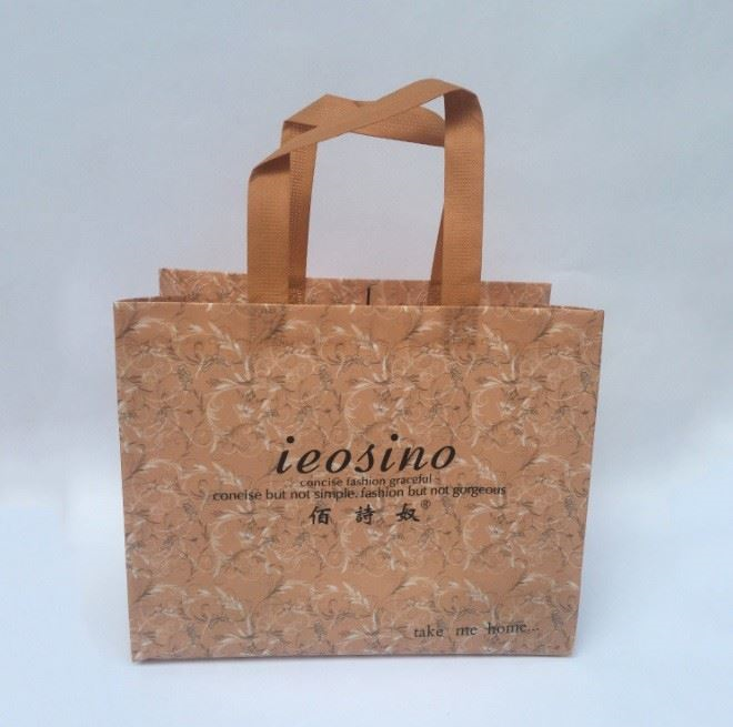 Custom Non Woven Shopping Bag
